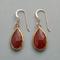 Tiny sundanceearrings