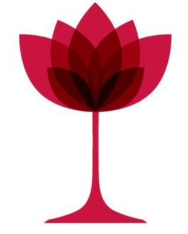 Fit 330 vino vinyasa
