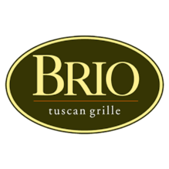 Fit 330 brio