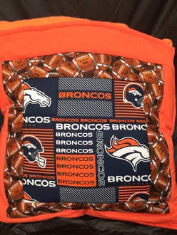 Fit 330 bronco pillow