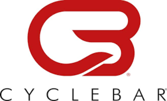 Fit 330 cycle