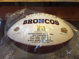 Fit 330 football2