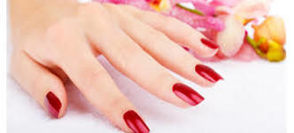 Fit 330 nynails